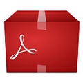 Adobe Reader X
